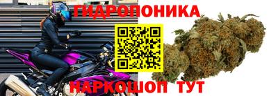 винт Моздок