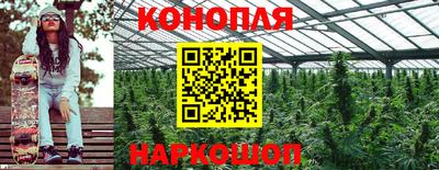 Альфа ПВП Можайск