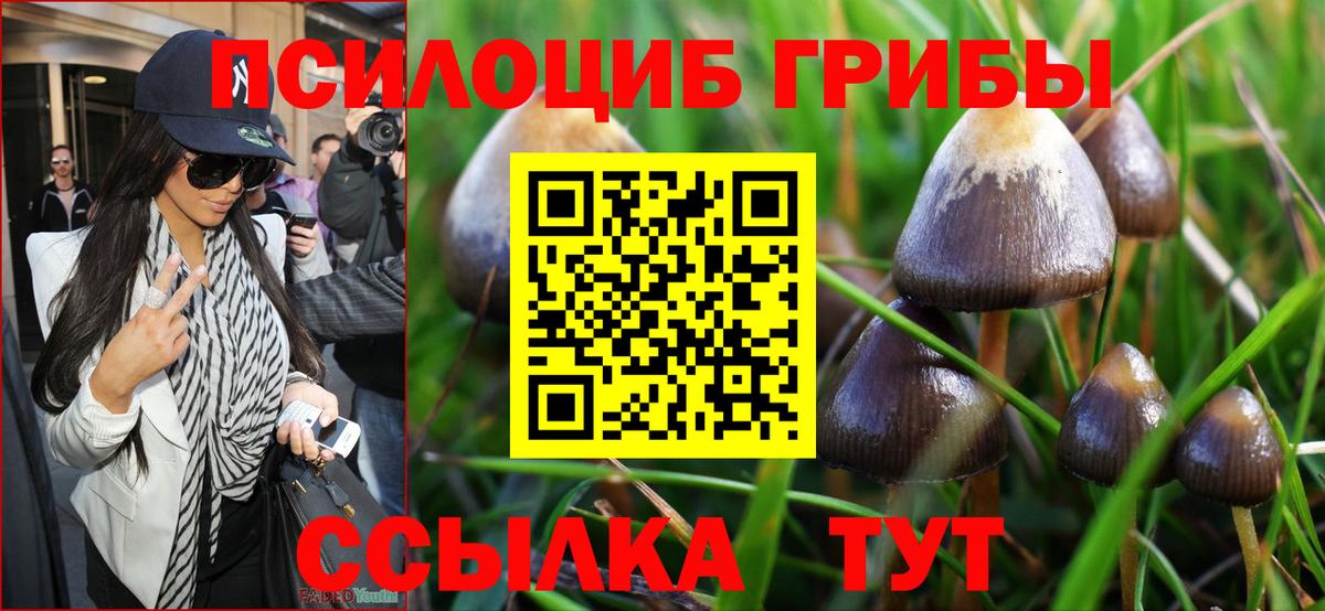 Славгород  Псилоцибиновые грибы мицелий  Вход с VPN  Псилоцибиновые грибы MAGIC MUSHROOMS 